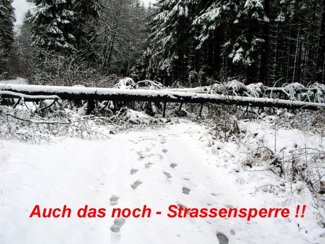 Puli Winterwanderung in Belg Strassensperre