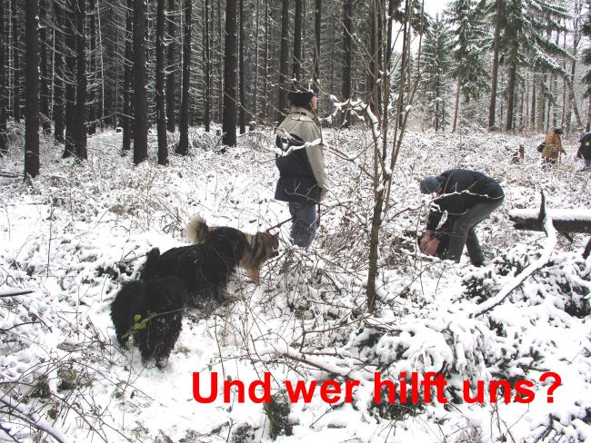 Puli Winterwanderung in Belg Hilfe