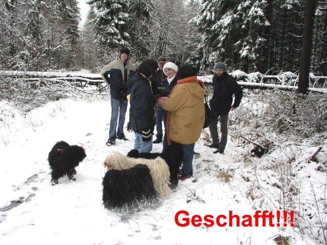 Puli Winterwanderung in Belg geschafft