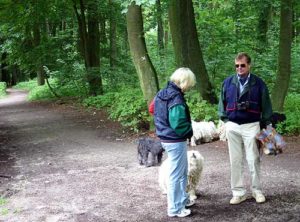 Puli Treffen Haltern in Vorbereitung