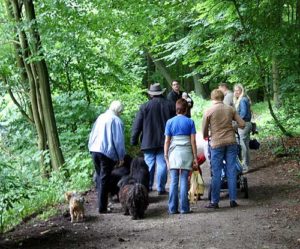 Puli Treffen Haltern auf dem Weg