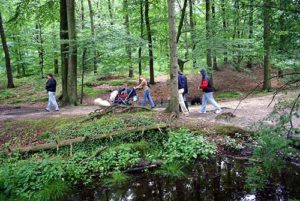 Puli Treffen Haltern weiter geht´s