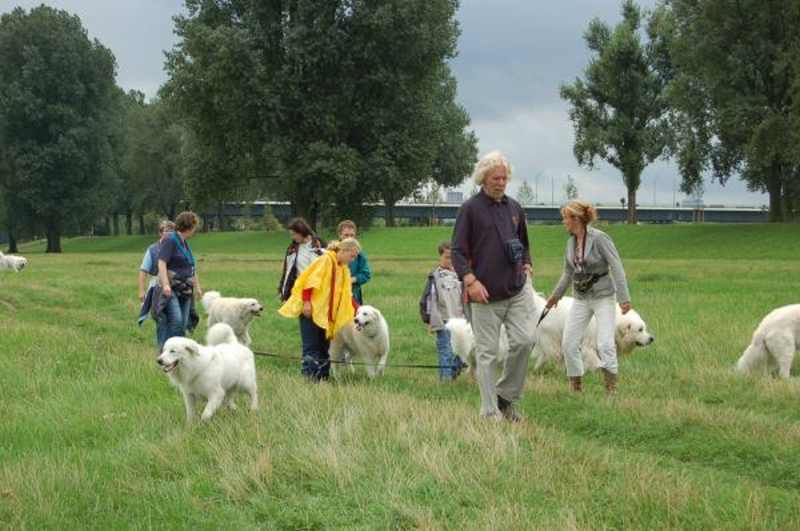 KfuH und PuK auf dem Puli Spaziergang in Düsseldorf Bild 2