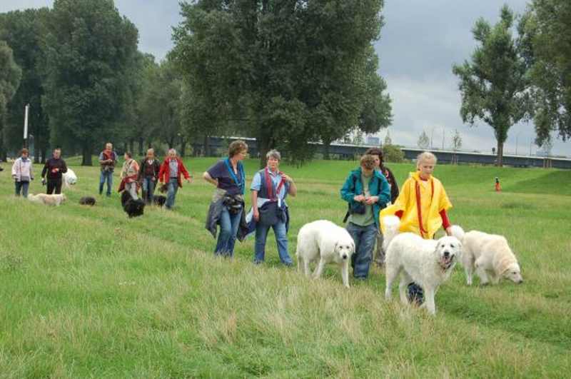KfuH und PuK auf Puli Spaziergang in Düsseldorf Bild 8