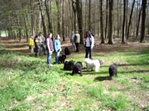 Frühlingsspaziergang in Reken