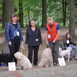 Klubausstellung in Haltern am See Platzierungen