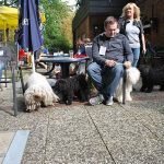 Klubausstellung in Haltern am See warten