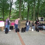 Klubausstellung in Haltern am See Aufstellung