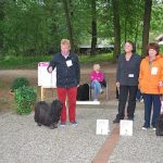 Klubausstellung in Haltern am See Plazierung