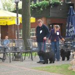 Klubausstellung in Haltern am See es geht los