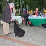Klubausstellung in Haltern am See Aufgespaßt
