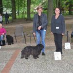 Klubausstellung in Haltern am See 1. Platz