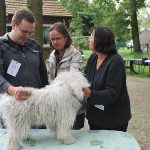 Klubausstellung in Haltern am See Richten