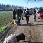 Frühlingsspaziergang Reken 2013
