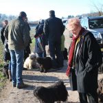 Frühlingsspaziergang Reken 2013