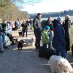 Frühlingsspaziergang Reken 2013