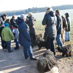 Frühlingsspaziergang Reken 2013