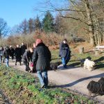 Frühlingsspaziergang Reken 2013