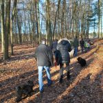 Frühlingsspaziergang Reken 2013