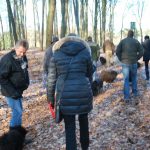 Frühlingsspaziergang Reken 2013