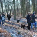 Frühlingsspaziergang Reken 2013