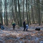 Frühlingsspaziergang Reken 2013