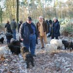 Frühlingsspaziergang Reken 2013