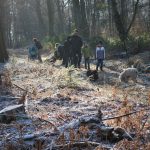 Frühlingsspaziergang Reken 2013