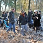 Frühlingsspaziergang Reken 2013