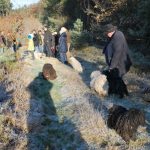 Frühlingsspaziergang Reken 2013