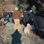 Frühlingsspaziergang Reken 2013