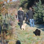 Frühlingsspaziergang Reken 2013