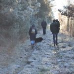 Frühlingsspaziergang Reken 2013