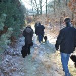 Frühlingsspaziergang Reken 2013
