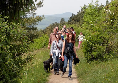 Wanderwochenende in Kassel image008