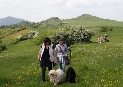 Wanderwochenende in Kassel image008