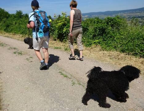 Wanderwochenende in Kassel image007