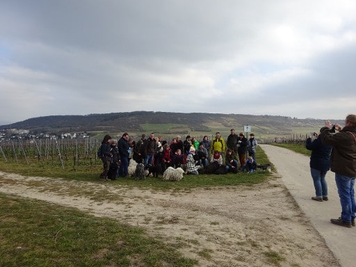 Frühlingswanderung 2017