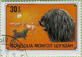 Puli head and Puli in action and all that on a stamp