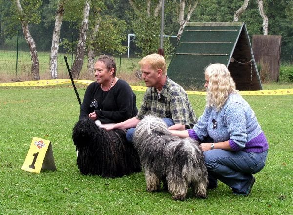 Klubsieger Zuchtschau in Marl