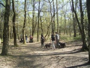 Puli Frühlingswanderung in Oer-Erkenschwick Bild 3
