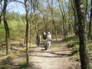 Puli Frühlingswanderung in Oer-Erckenschwick Bild 