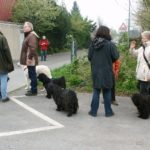 Puli Frühlingswanderung in Kaarst Bild 6