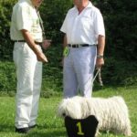 Puli Klubsieger Zuchtschau in Lautertal Hündinnen