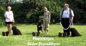 Puli Klubsieger Zuchtschau in Lautertal Rüden