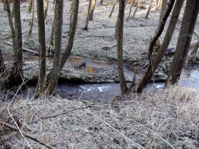 Winterwanderung in Witten