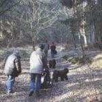 Puli Winterwanderung in Witten Bild 10