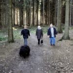 Puli Winterwanderung in Witten Bild 9