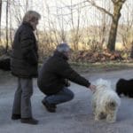 Puli Winterwanderung in Witten Bild 2