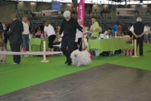 World Expo in Paris 2